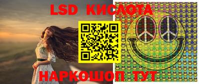 2c-b Кингисепп