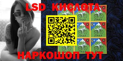 2c-b Кингисепп