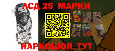 2c-b Кингисепп