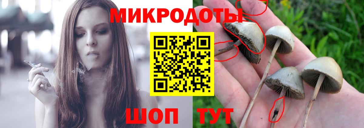 Якутск  закладки  Вход с VPN  Псилоцибиновые грибы ЛСД 